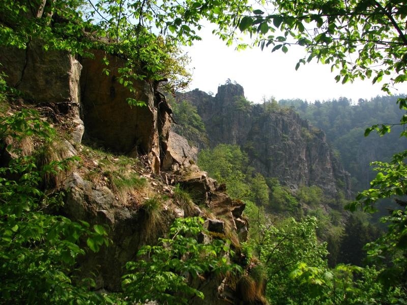 Rappenfelsensteig  Hochschwarzwald Tourismus GmbH