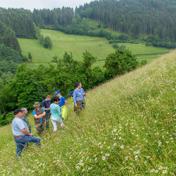 Jury-Begehung bei der Wiesenmeisterschaft