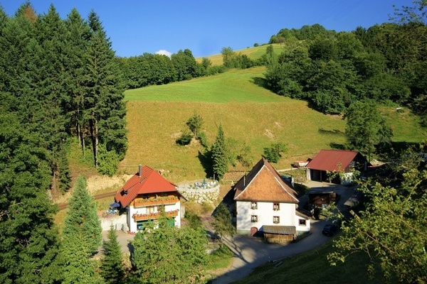 Blick auf die Steinmhle in Horben  Rehm-Hug