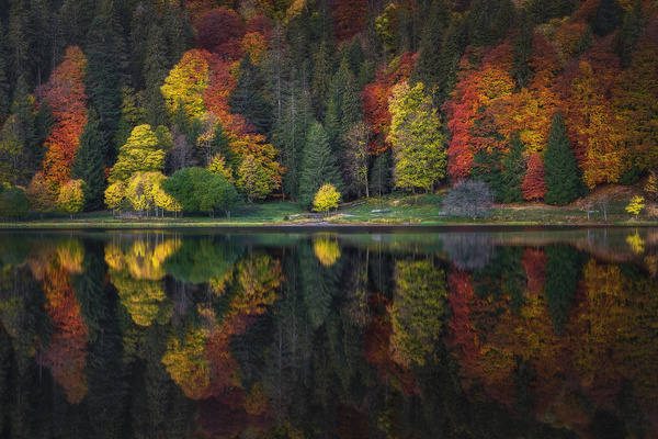 Heimatfotos: Herbst am Feldberg  Nick Schmid