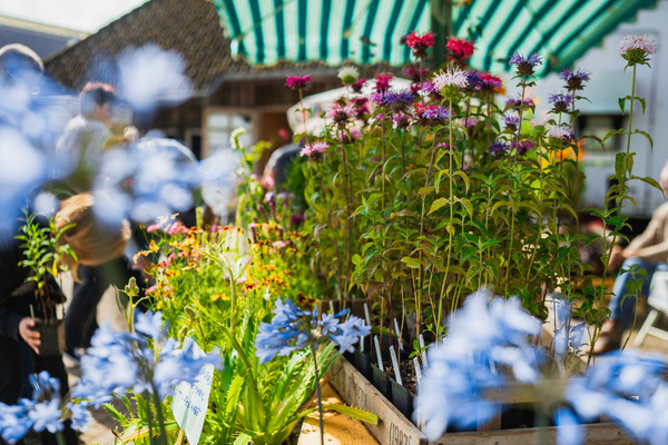 Blumen auf dem Naturpark-Markt � Hochschwarzwald Tourismus GmbH